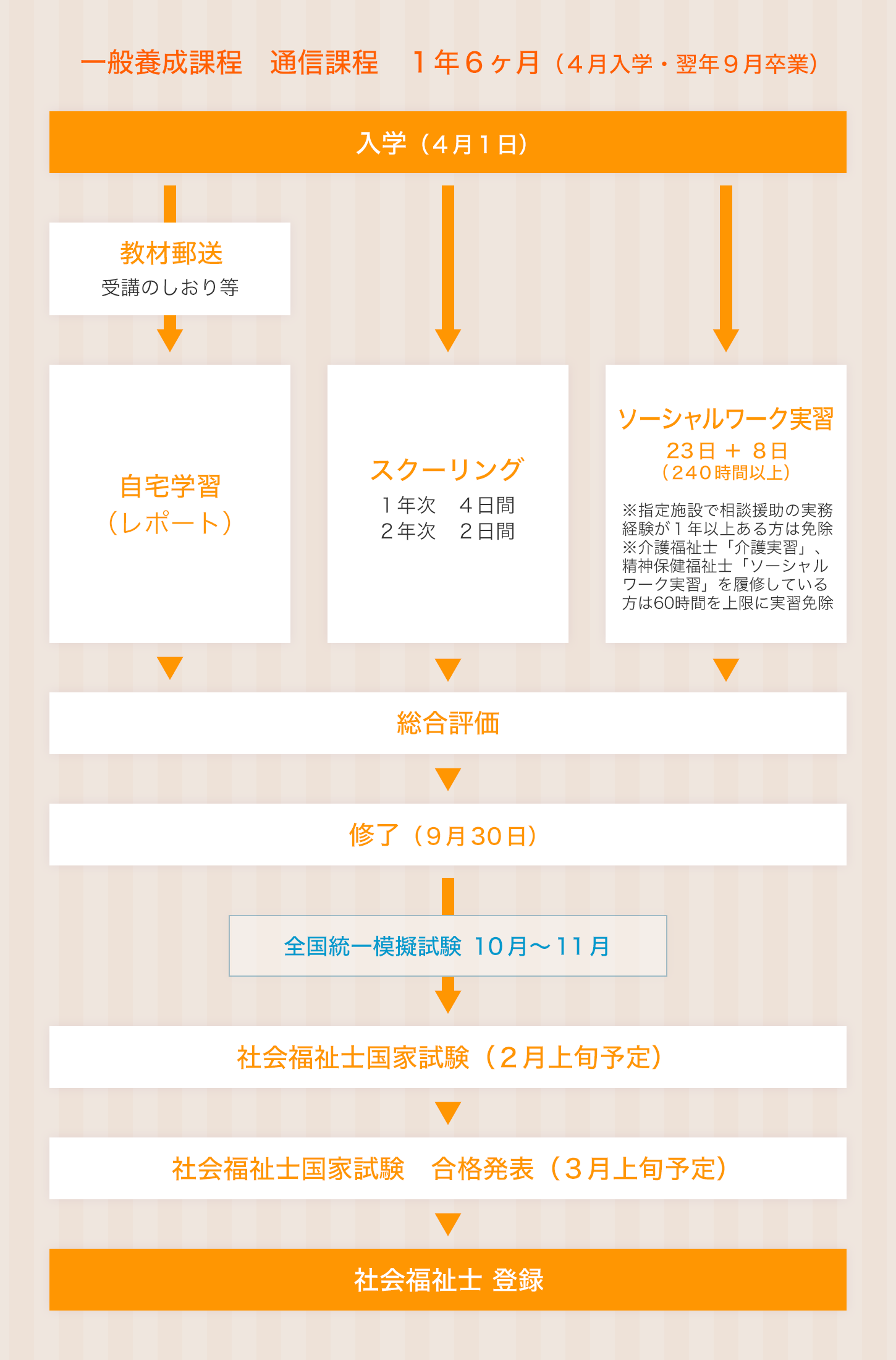社会福祉学科の入学から卒業まで