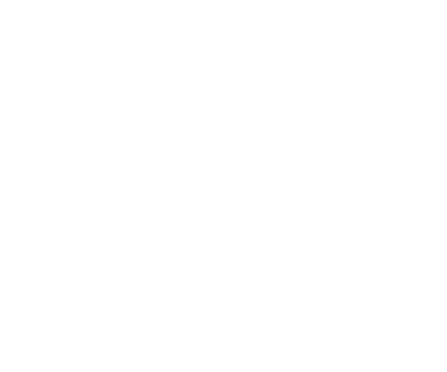 world skill Lyon 2024 logo